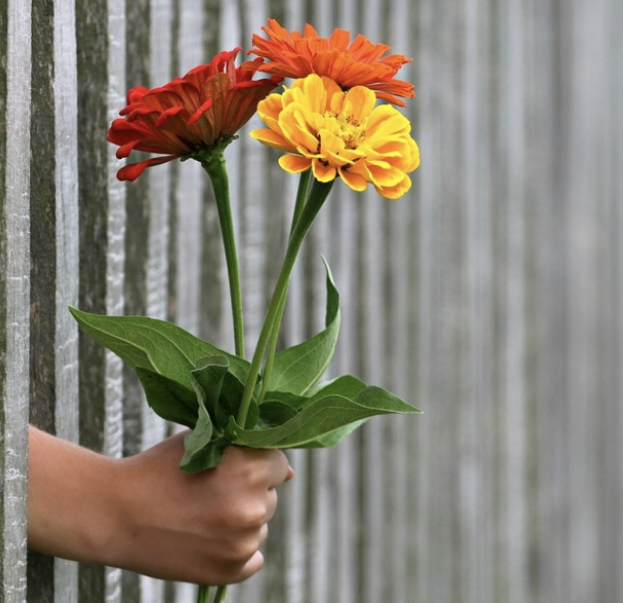 Serum do rąk i paznokci